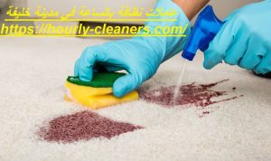 عاملات نظافة بالساعة في مدينة خليفة